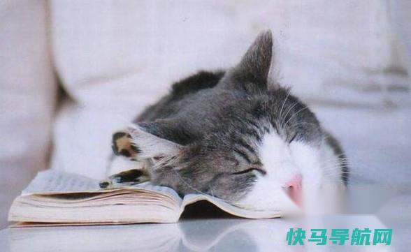 该怎么减缓衰老 第4张