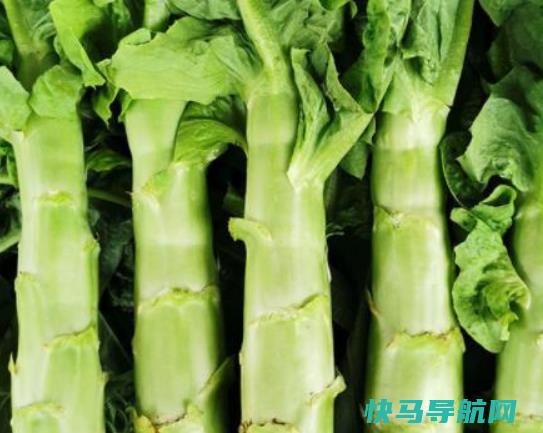 清炒莴笋用焯水吗？新鲜莴笋可以切片冷冻吗？